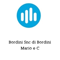 Logo Bordini Snc di Bordini Mario e C