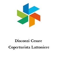 Logo Disconzi Cesare  Coperturista Lattoniere