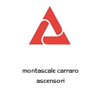 Logo montascale carraro ascensori