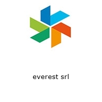 Logo everest srl