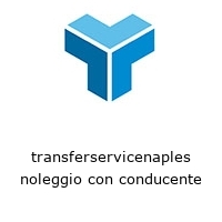 Logo transferservicenaples noleggio con conducente