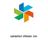 Logo canavese silvano snc