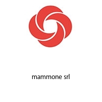 Logo mammone srl